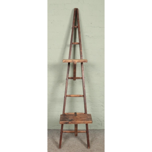 331 - A slender set of wooden ladders of A-Frame form, possibly for fruit picking. With seven rungs and tw... 