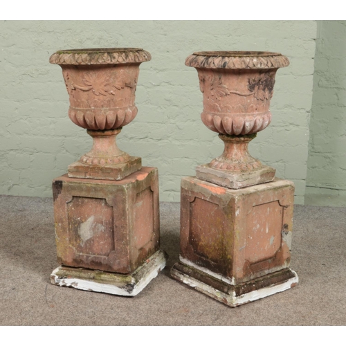 387 - A pair of terracotta garden urns raised on plinths. Height 82.5cm.