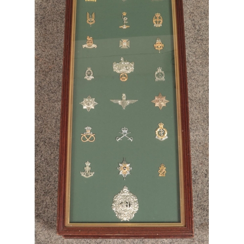 449 - A large framed display of 31 military cap badges. Includes Grenadier Guards, Parachute Regiment, Arg... 