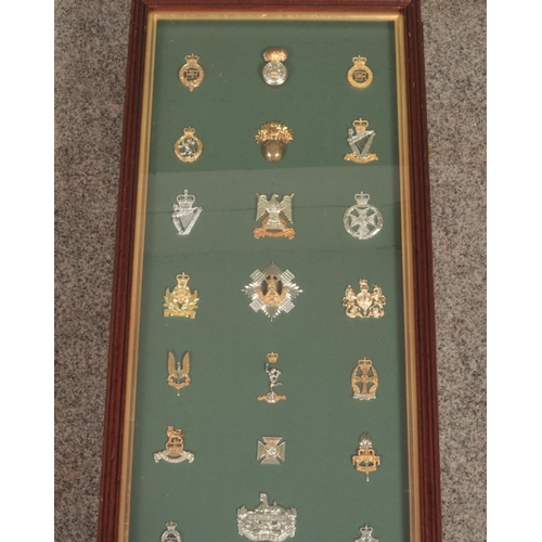 449 - A large framed display of 31 military cap badges. Includes Grenadier Guards, Parachute Regiment, Arg... 