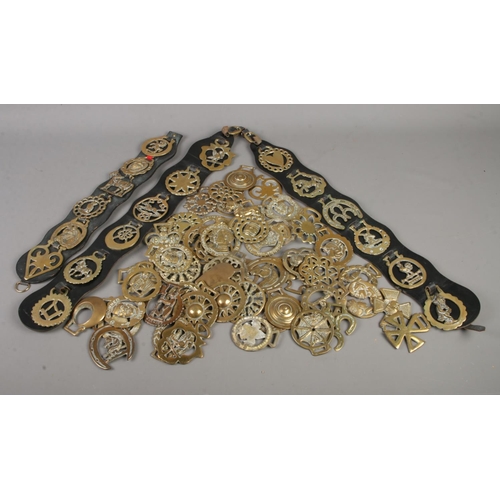 164 - A large quantity of horse brasses over 60 pieces.