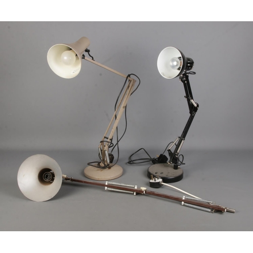 351 - A Herbert Terry model 90 anglepoise lamp together with Prova anglepoise and other similar lamp.