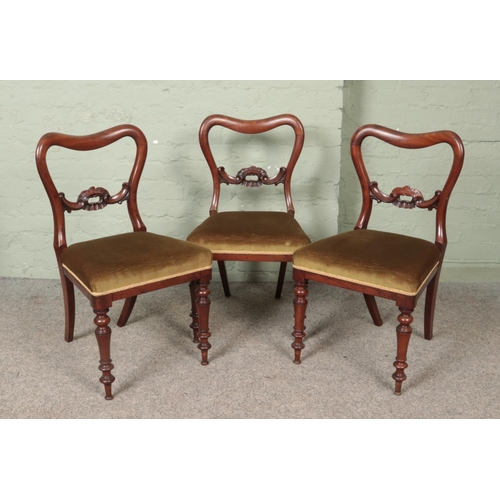 556 - A set of six Victorian mahogany dining chairs.