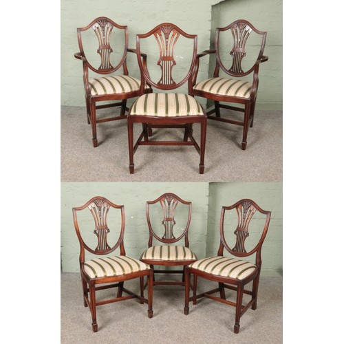 557 - A set of six Rackstraw style dining chairs, including two carvers.