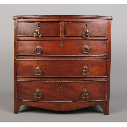 157 - A miniature mahogany bow front chest in the Victorian style. Height 31cm, Width 31cm, Depth 16cm.