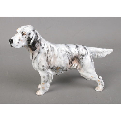 521 - A Royal Doulton ceramic figure of an English Setter (HN1050).