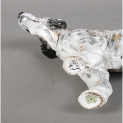 521 - A Royal Doulton ceramic figure of an English Setter (HN1050).