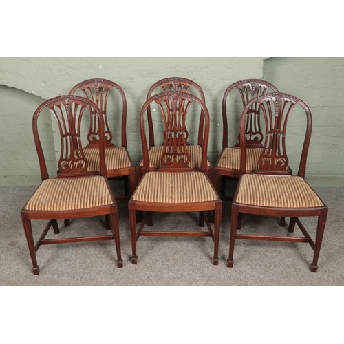 559 - A set of six Hepplewhite style dining chairs.