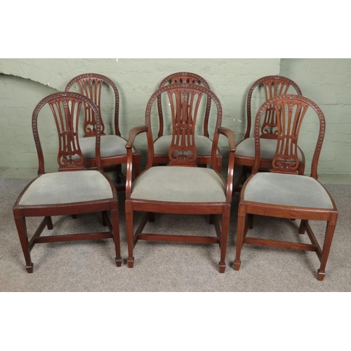 560 - A set of six Hepplewhite style chairs including one carver.