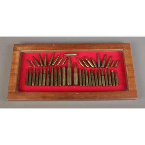 115 - A cased ammunition display featuring varying types and calibers to include .500, 300 Magnum, Winches... 