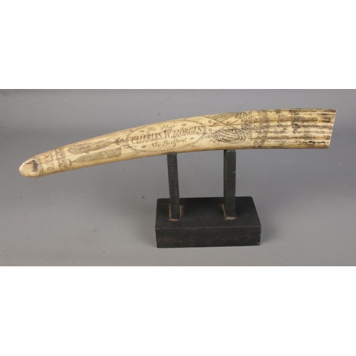 86 - Replica Scrimshaw in the form of a tusk titled The Ship Charles W Morgan New Bedford mounted on wood... 