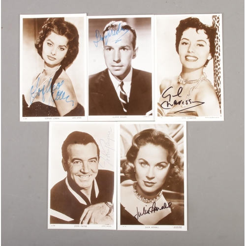 136 - A collection of signed monochrome Picturegoer Series Postcards to include John Payne, Julia Arnall, ... 