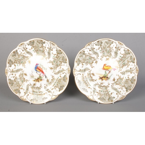 22 - A pair of Rockingham dessert plates decorated with hand painted exotic birds in the manner of John R... 