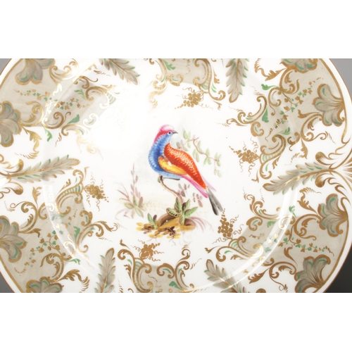 22 - A pair of Rockingham dessert plates decorated with hand painted exotic birds in the manner of John R... 