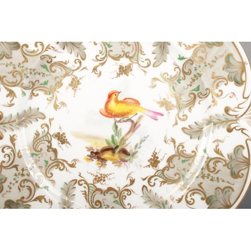 22 - A pair of Rockingham dessert plates decorated with hand painted exotic birds in the manner of John R... 