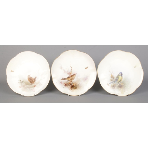 23 - James Stinton for Royal Worcester, three porcelain plates with hand painted scenes depicting birds i... 