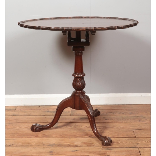 258 - A Georgian style carved mahogany tilt top table with pie crust top and raised on three ball and claw... 