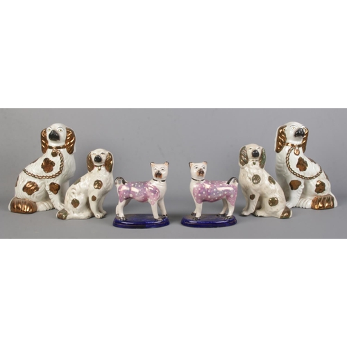 48 - A collection of 19th century pottery dog figures. Includes a pair of lustre pug figures and two pair... 