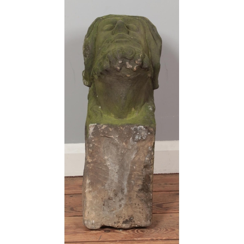 55 - A carved stone corbel, formed as the bust of a gentleman. Length 51cm, Height 28cm.