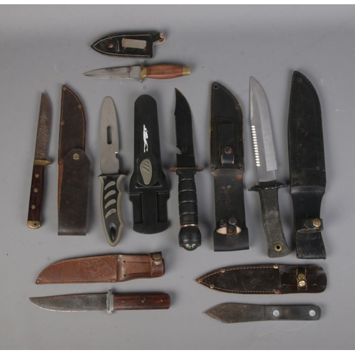 152 - A good collection of assorted knives to include hunting and Haller examples. All with corresponding ... 