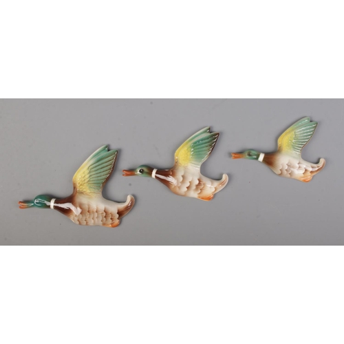 63 - A set of three graduated ceramic flying wall ducks.