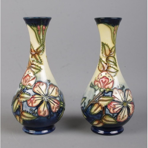 523 - A pair of Moorcroft Pottery slender neck vases, in the 'Sweet Briar' pattern. Date cipher for 2000. ... 