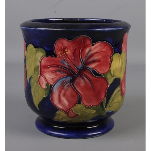 480 - A Moorcroft pottery jardiniere decorated in the Hibiscus design. Impressed factory mark and signed t... 