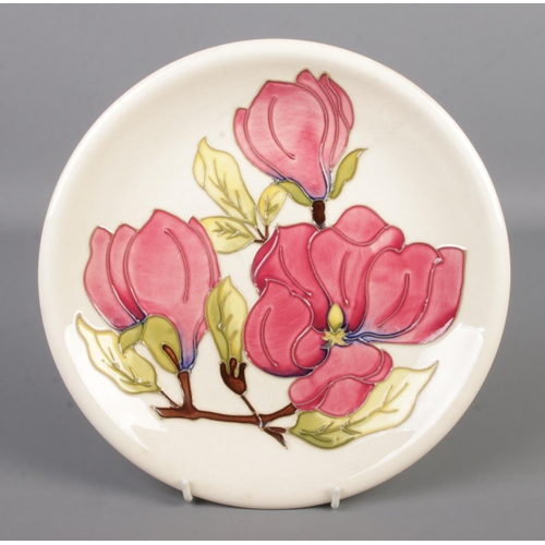 484 - A Moorcroft pottery plate decorated in the Magnolia design. With impressed factory mark and signed t... 