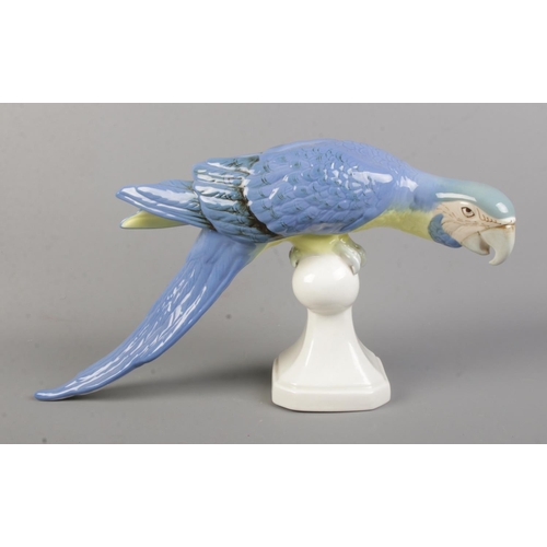 486 - A Royal Dux ceramic blue macaw parrot posed on a small perch. Approx. height 12cm.