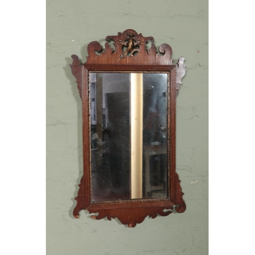 297 - An mahogany framed hall mirror featuring carved gilt painted bird motif. Approx. dimensions 64cm x 3... 