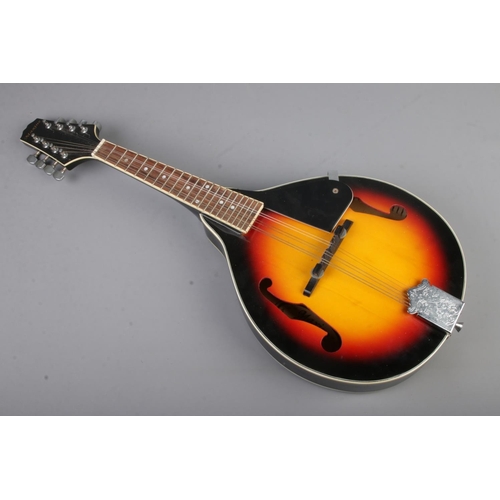 72 - A Maxine eight string Mandolin