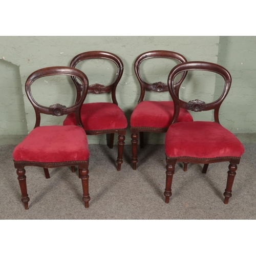 502 - A set of four balloon back dining chairs featuring red upholstered seats.