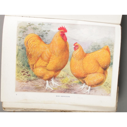 135 - SH Lewer, Wright's Book Of Poultry. With coloured plates and other illustrations. Published by The W... 