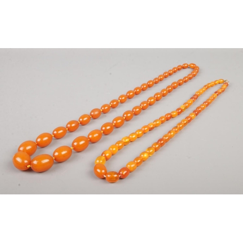 412 - Two strings of amber coloured beads, including a large graduated example.