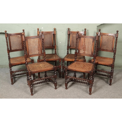 469 - A set of six Druce & Co oak barley twist chairs with canework seats and back supports.