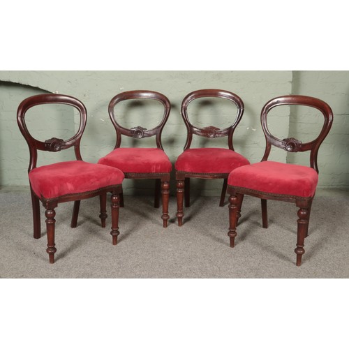 479 - A set of four Victorian carved mahogany balloon back chairs.