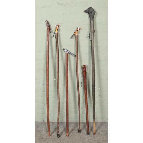 283 - A collection of walking stick and canes each featuring carved pommels. Subjects include black Labrad... 