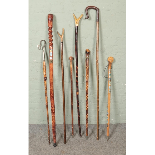 284 - A good collection of wooden walking sticks and canes to include horn handled and carved examples.