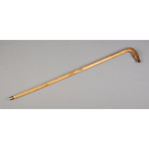 107 - A small walking cane with carved horse head handle. Length 75.5cm.