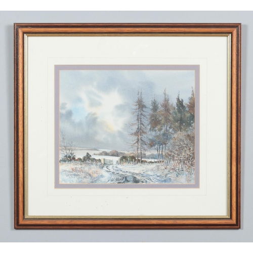 210 - John Freeman (1942-), a framed watercolour, winter landscape scene, Burn Howe Moor. 21cm x 25cm.