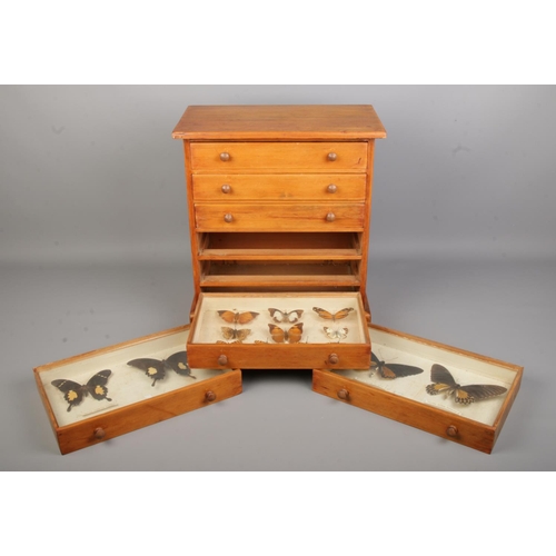 80 - Entomology, a pine specimen chest with six drawers of pinned butterflies under glass. Bearing Natura... 