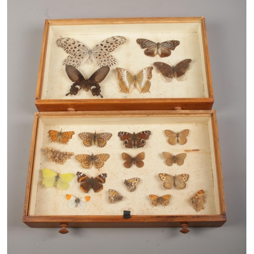 80 - Entomology, a pine specimen chest with six drawers of pinned butterflies under glass. Bearing Natura... 