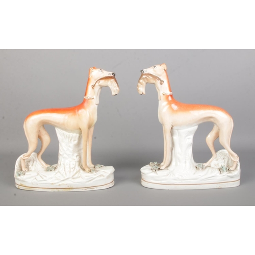 9 - A pair of 19th cenutry Staffordshire greyhound figure both with hare in mouth. Height 28cm.