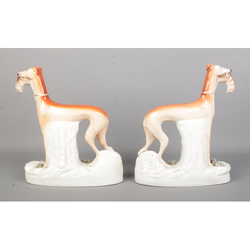 9 - A pair of 19th cenutry Staffordshire greyhound figure both with hare in mouth. Height 28cm.