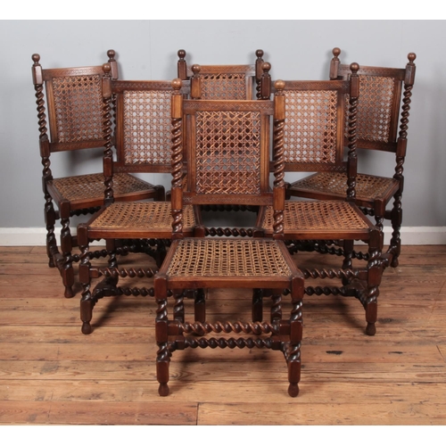 674 - A set of six Victorian Druce & Co oak barley twist chairs with canework seats and back supports.