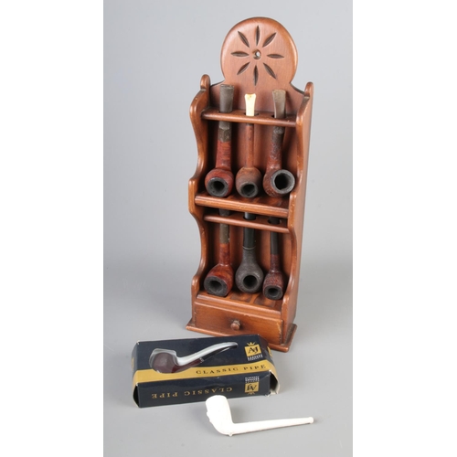 24 - A collection of tobacco smoking pipes housed in display cabinet including examples by Amphora, Wagne... 