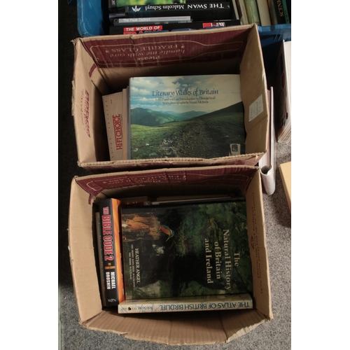 275 - Four boxes of assorted mostly non-fiction books to include Religious texts, travel guides, artist sp... 