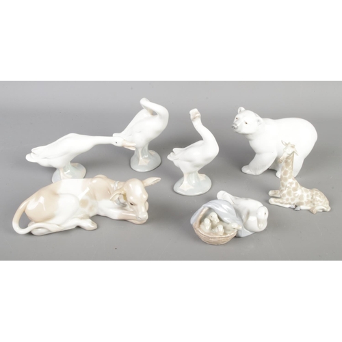 599 - A good collection of seven Lladro ceramic animal figures to include Giraffe calf, Polar Bear, Geese ... 