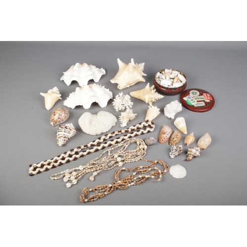 35 - A collection of sea shells and corals, including shell necklaces and large clam shell etc. In variou... 