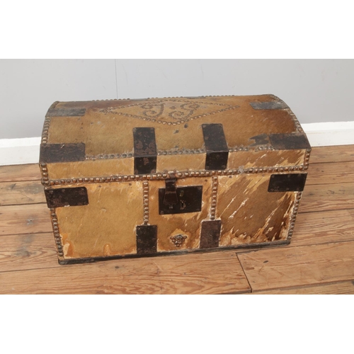 258 - Early 19th century pony hide travelling trunk, iron mounts